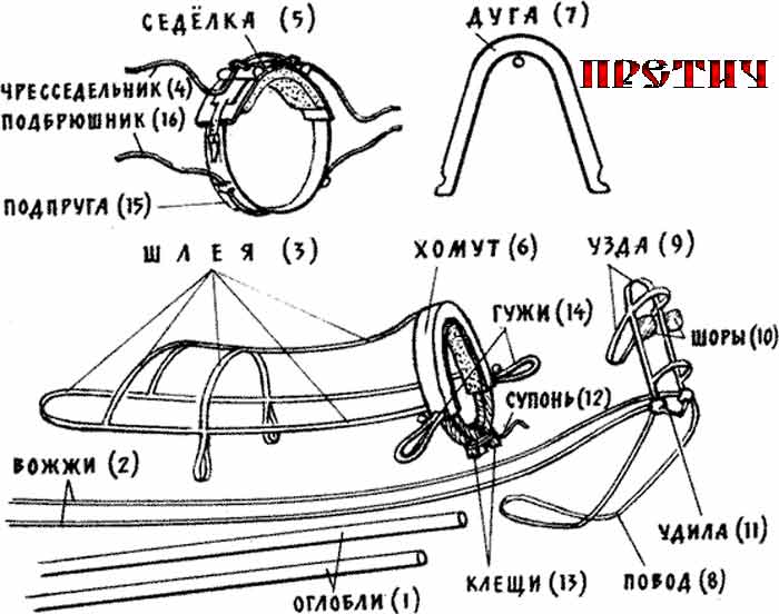 все элементы упряжи