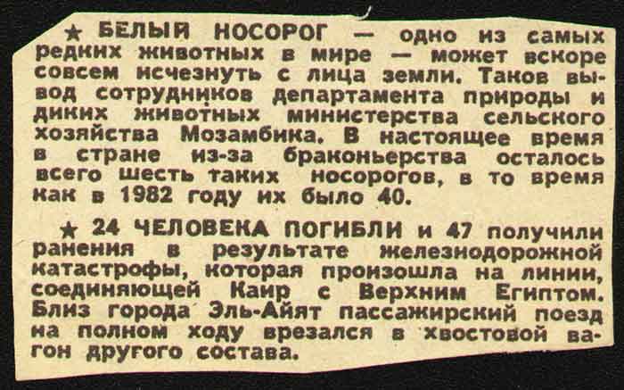 БЕЛЫЙ НОСОРОГ одно из самых редких животных БЕЛЫЙ НОСОРОГ — одно из самых редких животных