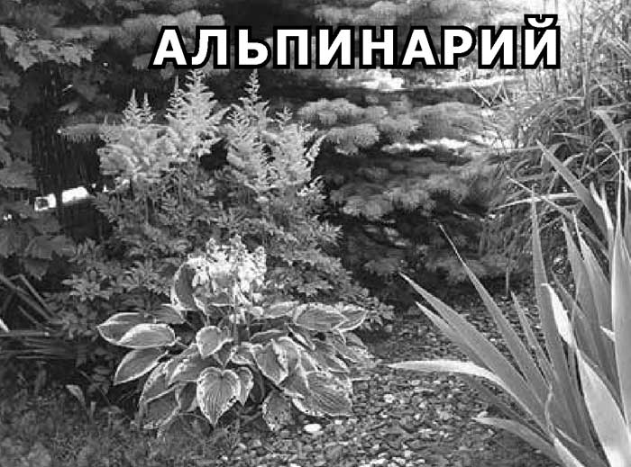 Альпинарий что это такое и как это сделать