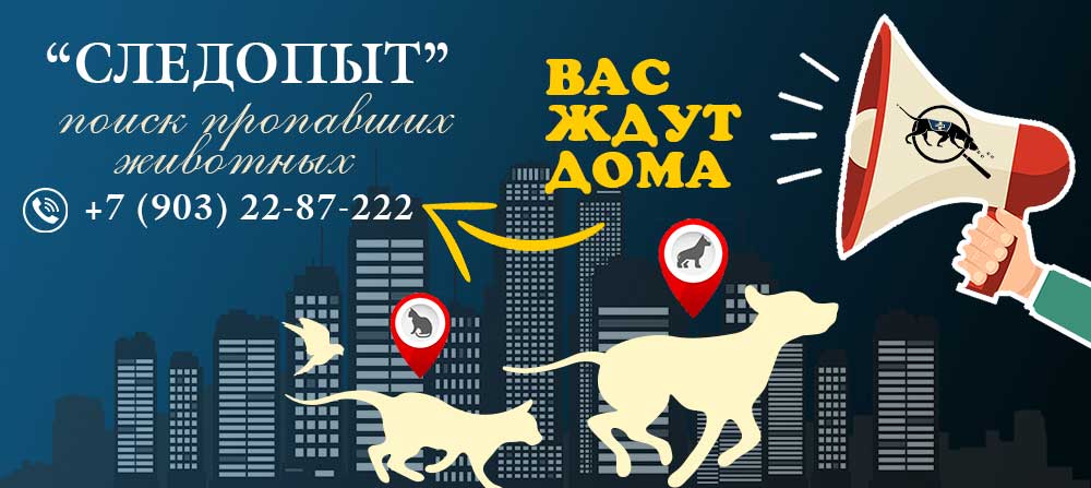 Следопыт - поиск пропавших животных в Москве и области Следопыт - поиск пропавших животных в Москве и области