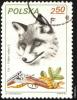 4_polska-post_0002_t1.jpg