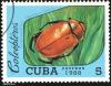 Click to view cuba_mark_35_t1.jpg