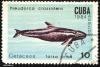 Click to view cuba_mark_38_t1.jpg
