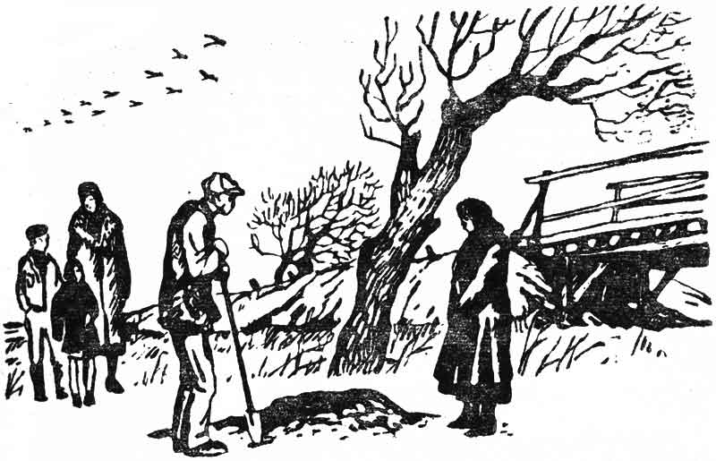 Вельм Пуговица или серебряные часы с ключиком книга Вельм Пуговица или серебряные часы с ключиком книга