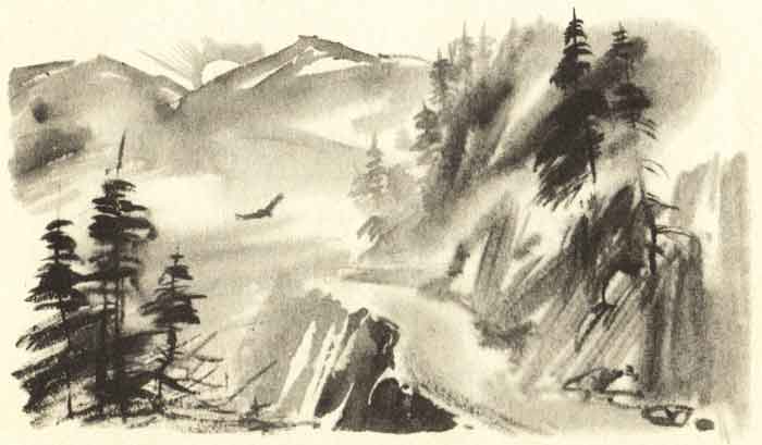 горная тропа, картинка к книге стихов