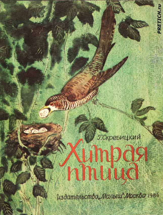 Г. Скребицкий Хитрая птица иллюстрации Г. Скребицкий Хитрая птица иллюстрации