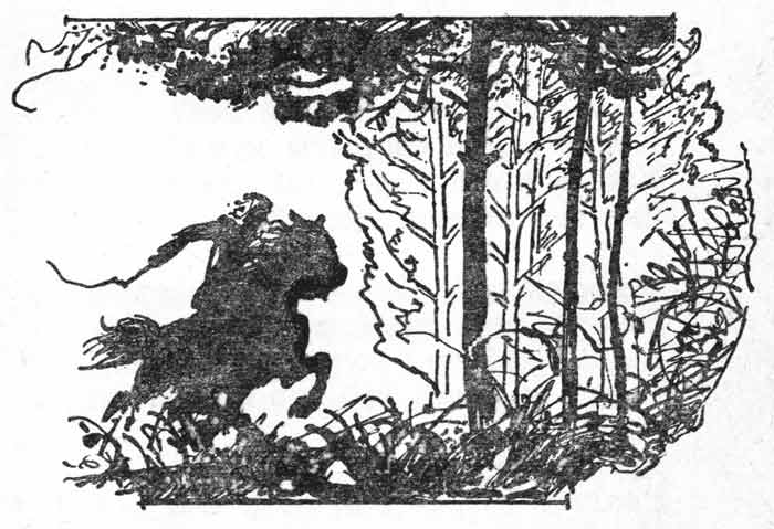 Всадник - картинка из книги стихов Кольцова Всадник - картинка из книги стихов Кольцова